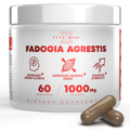 Fadogia Agrestis 1000mg