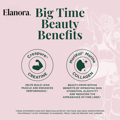 Creatine & Collagen Sticks